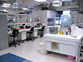 Lab Benches View 1